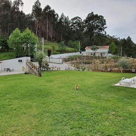 Quinta Da Tormenta -14 Pessoas- Cabeceiras De Basto 2 Casas E Piscina Privada别墅 外观 照片
